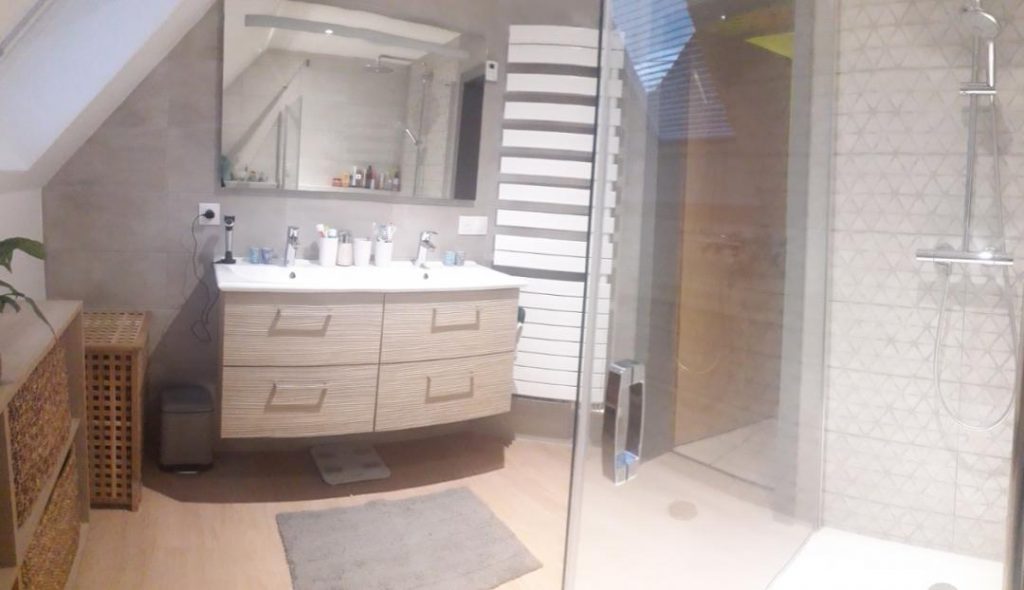 une salle de bains avec une douche et une double vasque